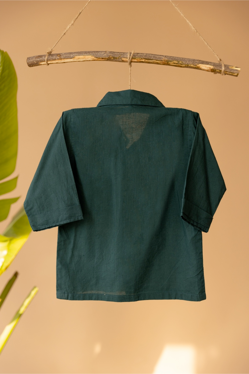 Cardy Green