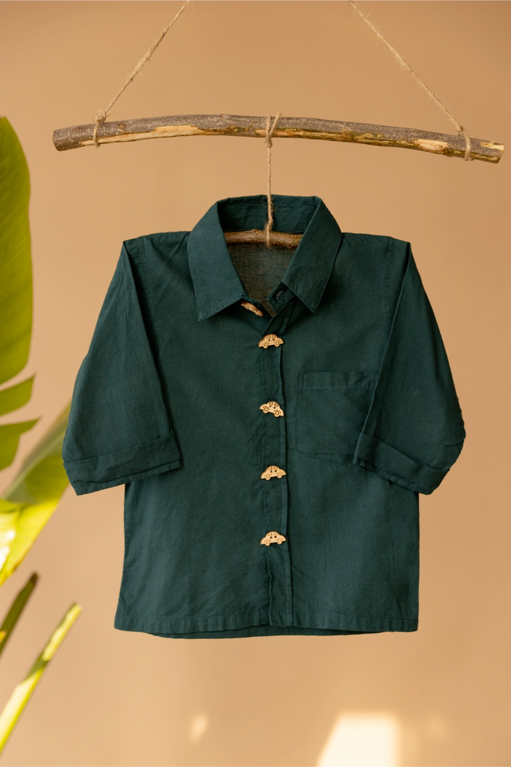 Cardy Green