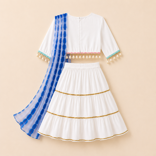 Blue Meher Lehenga Set