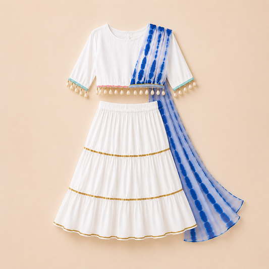 Blue Meher Lehenga Set